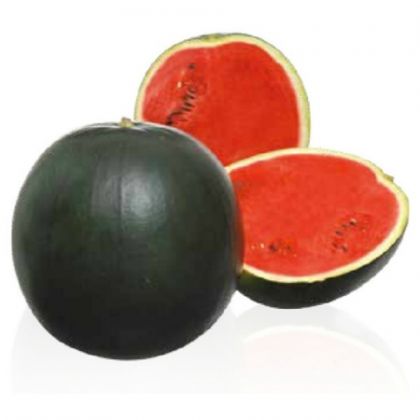 Pepene verde FIRE BALL F1