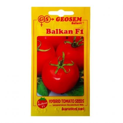 Tomate semideterminate BALKAN F1