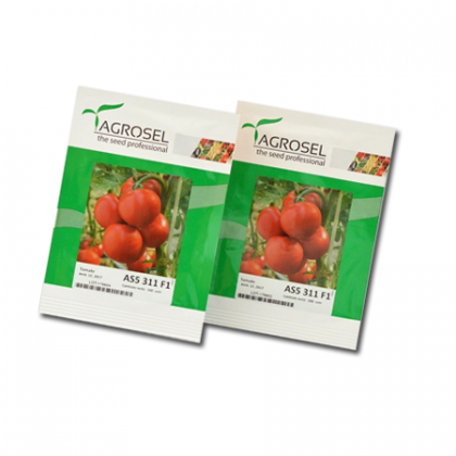 Tomate semideterminate AS5 311 F1