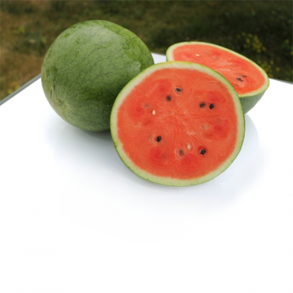 Pepene verde mini Danubiana F1