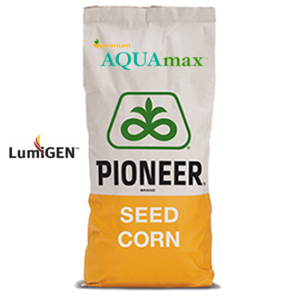 Semințe Porumb Pioneer P9903 FAO 360 - Producție Maximă!
