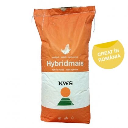 Semințe Porumb KWS Kashmir FAO 370 - Producție bogată garantată!