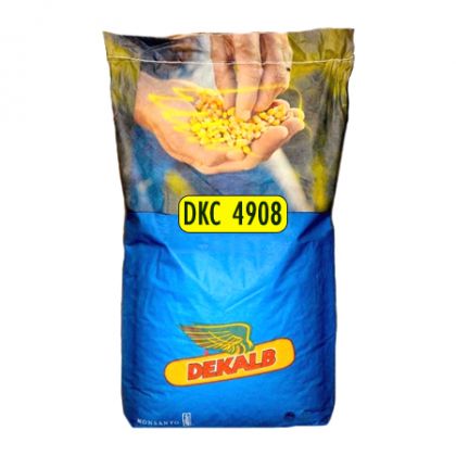 Semințe Porumb Dekalb DKC 4908: Productivitate excelentă!