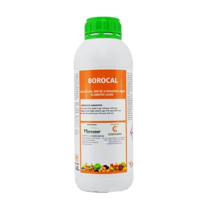 Borocal
