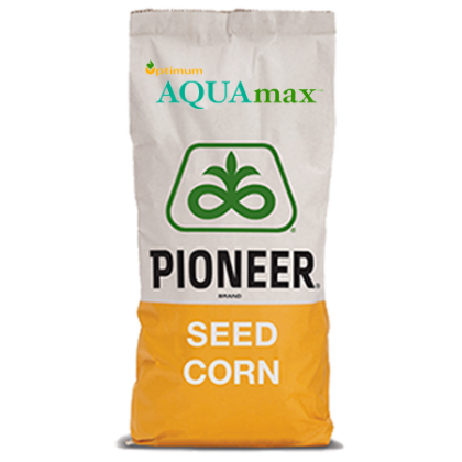 Pioneer P0900 AQUAmax Semințe Porumb Hibrid Rezistent Secetă