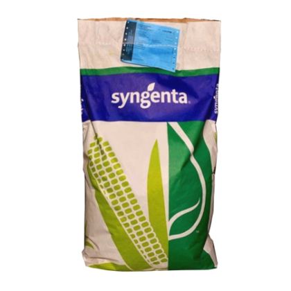 Semințe porumb Syngenta Enermax FAO 300-340