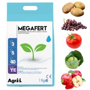 Megafert 3.5.40 TE: Îngrășământ Solubil de Top pentru Culturi Viguroase!
