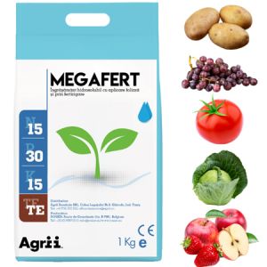 Megafert 15.30.15 TE - Fertilizant hidrosolubil pentru culturi bogate!