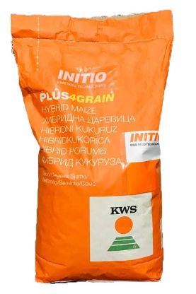Semințe Porumb KWS Hypolito FAO 350 - Producție Maximă Garantată!