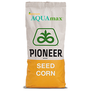 Pioneer P0900 AQUAmax Semințe Porumb Hibrid Rezistent Secetă